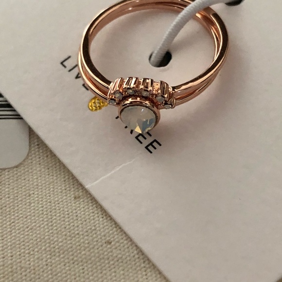 Puravida Rose Gold Nesting Ring ✨ - Picture 3 of 5